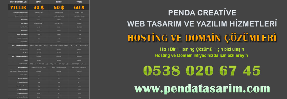 Hosting ve Domain zmleri